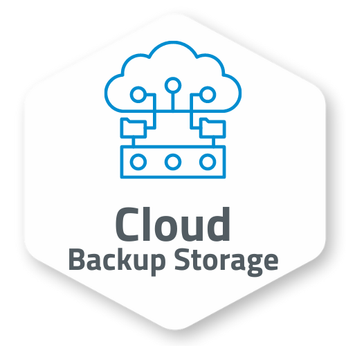 Cloud Backup Storage